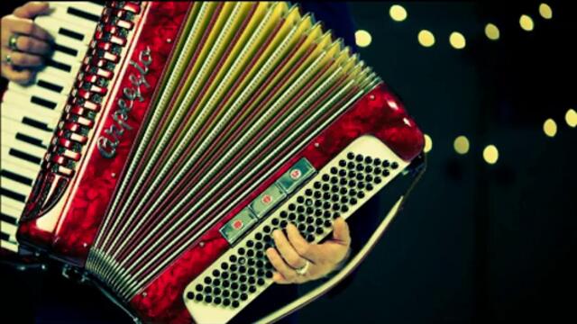 Tv Themes Instrumental Covers - Accordion (2020)