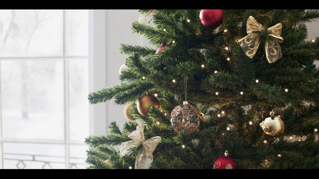 Jingle Bells  Instrumental - (Balkan  Folk version 2019)