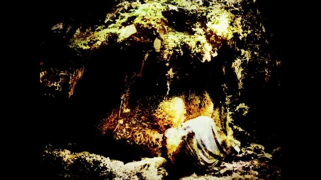 Wolves In The Throne Room - Thuja Magus Imperium