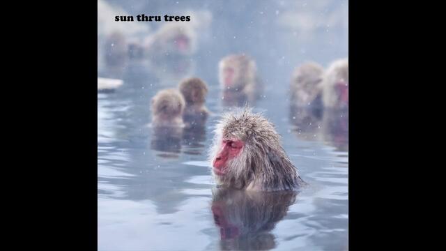 Sun Thru Trees - One Won Now (FULL ALBUM)