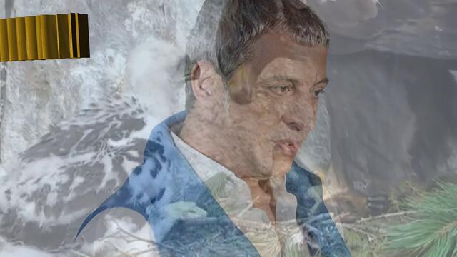 Θέμης Αδαμαντίδης - Σαν σημαδέψεις αετό - когато нараниш орел