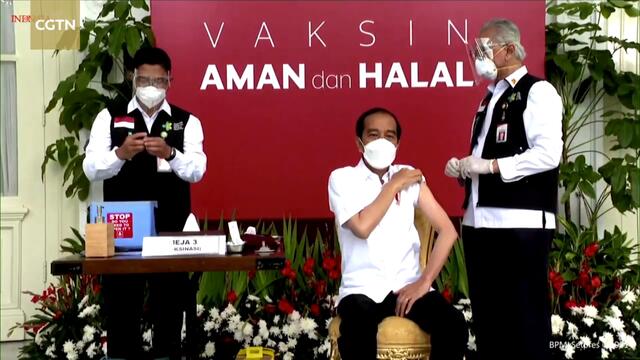 Indonesian President receives Chinese vaccine as rollout begins