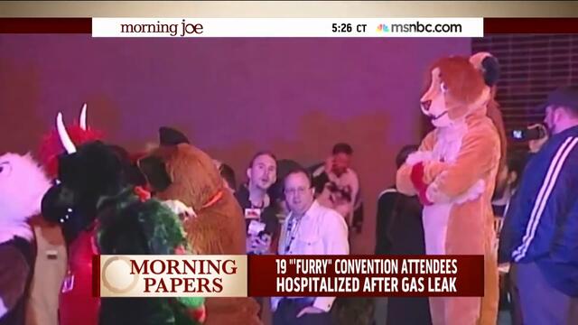 Mika Brzezinski Learns About 'Furries' | msnbc