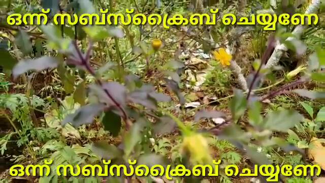 Kudumbavilakku serial | 16/01/2021 | Kudumba vilakku serial latest episode | Today episode