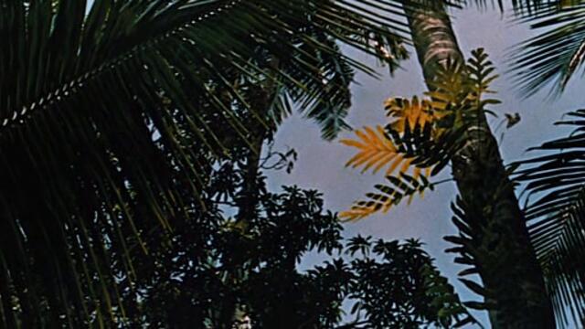 Мостът на река Куай  The Bridge on the River Kwai  (1957) Бг Аудио Част 1