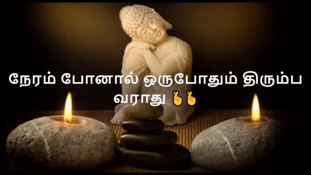 10 Quotes For Daily Life|Tamil Motivation Quotes Video|Full HD|@calm music