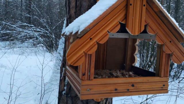 Луна: новолуние, полнолуние и экадаши. Влияние на человека.