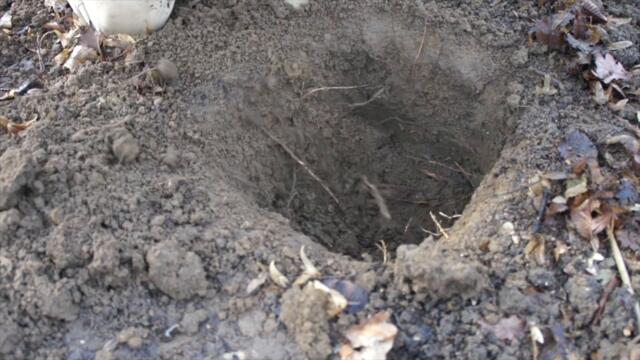 The Dakota Fire Hole - Stealth Fire