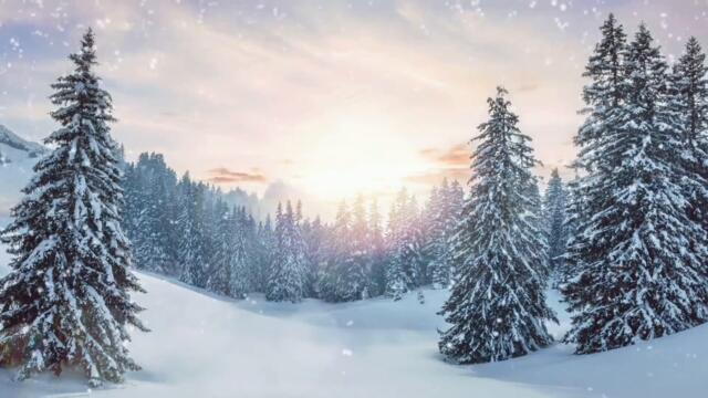 Последняя неделя 25-31 января: Полнолуние и ретроградный Меркурий / Все будет ярко и позитивно