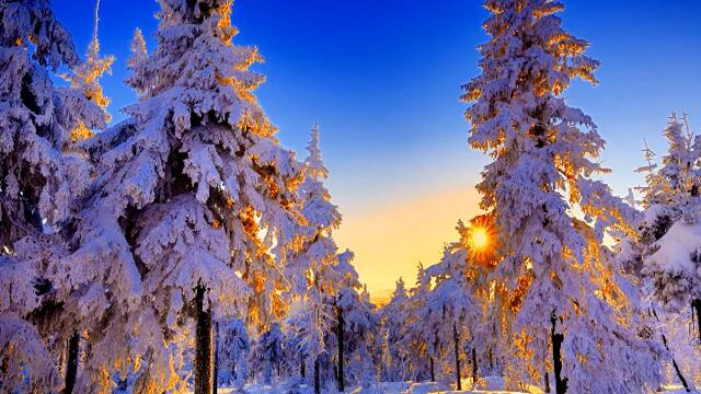28. 01. 2021г. Четверг. Полнолуние. Телец. Карта дня.