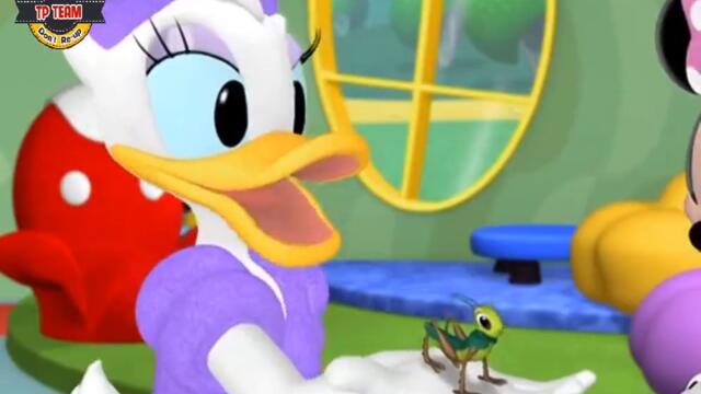Mickey Mouse Clubhouse Full Episodes Moment 🌈 Mickey Mouse Cartoon Daisy's Grasshopper