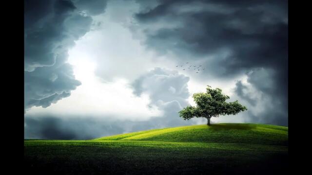 Beautiful Melancholy Part 2