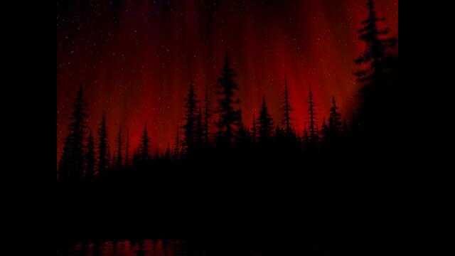 Dark Forest
