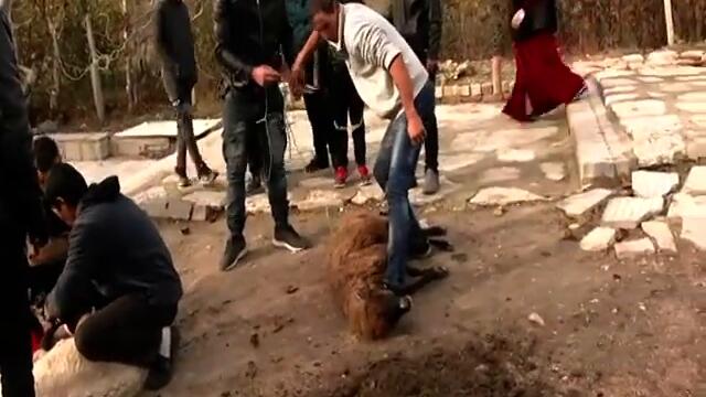 Izpisvane na Isa DEVNYA(3)