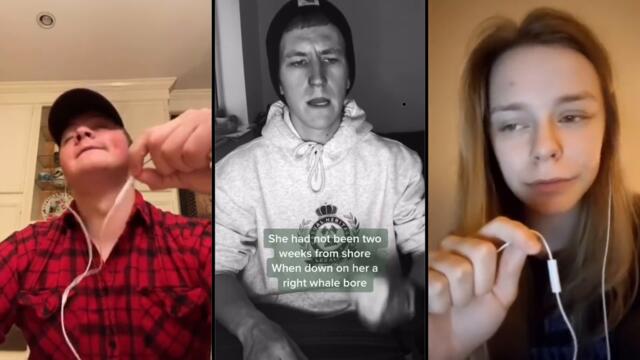 The Wellerman - TikTok Sea Shanty mashup 2021