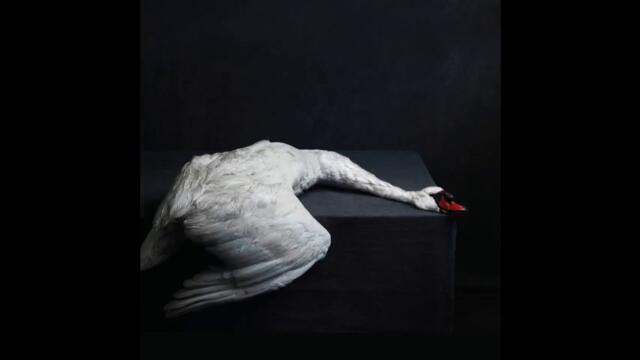 AMENRA - Diaken