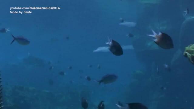 H2O Just Add Water Opening - Mako Mermaids style