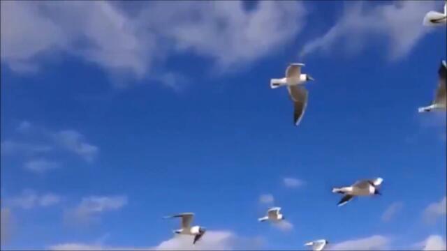 Band ODESSA   -   Я ТЕБЯ НАРИСОВАЛ 🎸