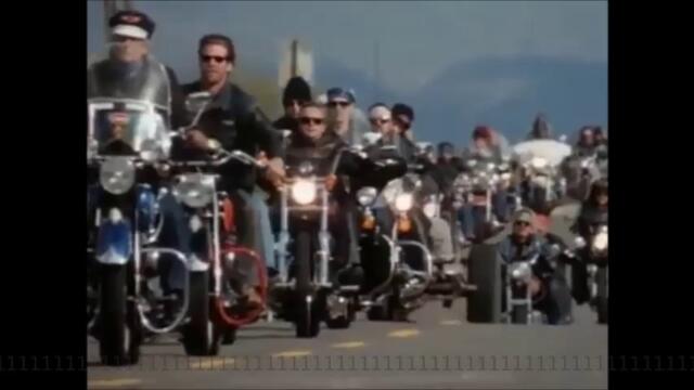 Chris Rea 🗣  The Road To Hell