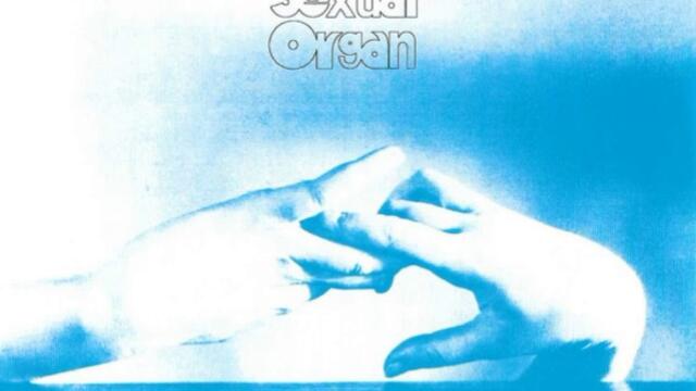 Clotted Symmetric Sexual Organ - Track 02 - Explanatory Notes Of Pilferage & 256