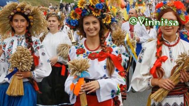 КУЛЬБАБИ Василь Колодій 🎸 Місто Моєї Юності 🌿