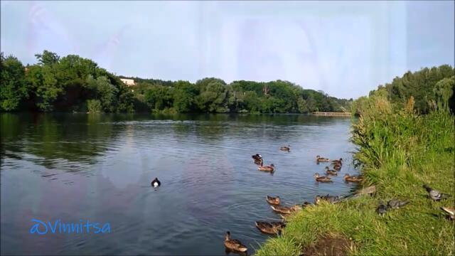 ВЕСНА Река УТКИ  🌿 УШЕДШИЕ ГОДА