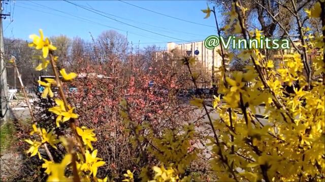 Олеся & Band Odessa 🌼ТЫ В СЕРДЦЕ МОЁМ