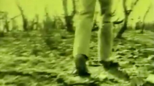 Θάνος Καλλίρης - σαν - като