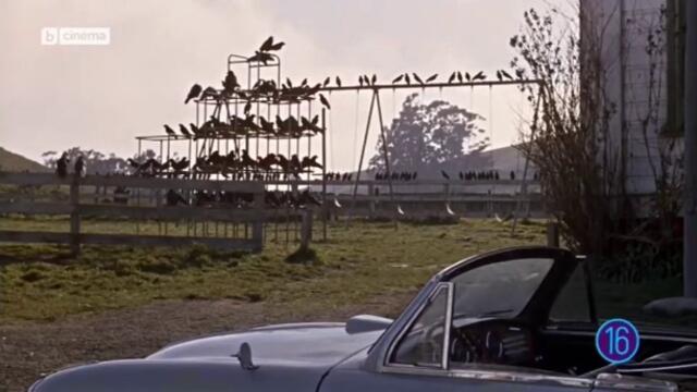 Птиците (1963) (бг аудио) (част 6) TV Rip bTV Cinema 01.05.2021