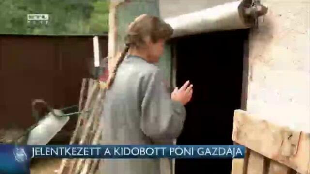 content_video_id_1024071_49c146ca-bd42-4eb7-a6ac-bfba33ca3965