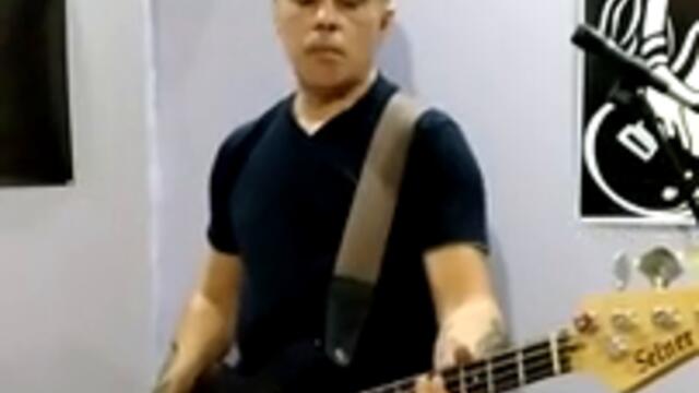 Bush - "Chemicals between us" (Bass Cover)