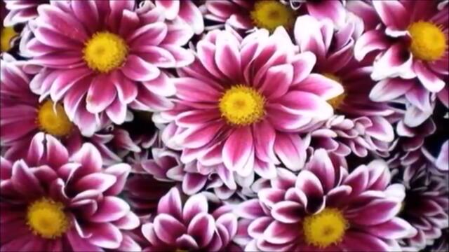 Добрый Вечер! ♦ СЕРЕБРЯНЫЕ СТРУНЫ ♦ Старинный Вальс