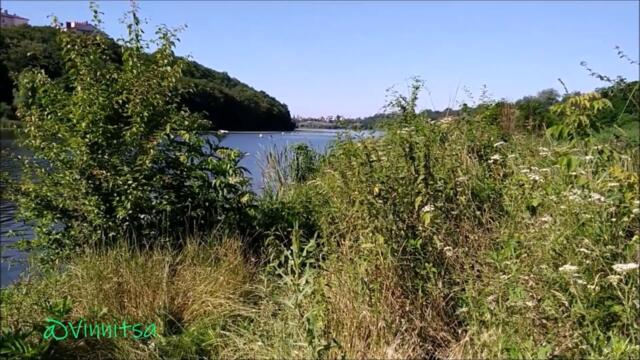 Сергей Орлов 🌿 Красивая Песня о Любви