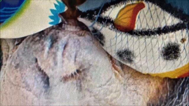 Old Man Metalhead - Titanium Soul