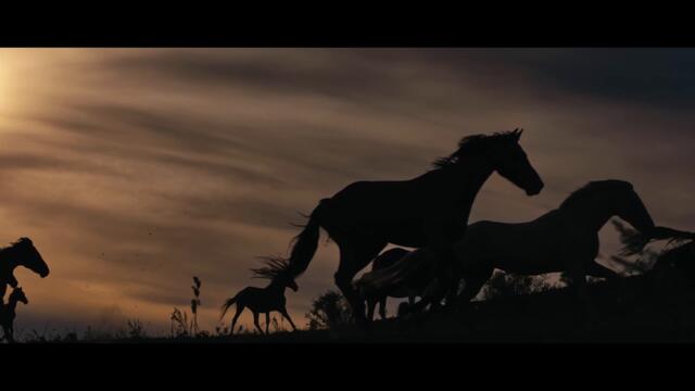 GENETIKK - PATRIOT (Official Video)