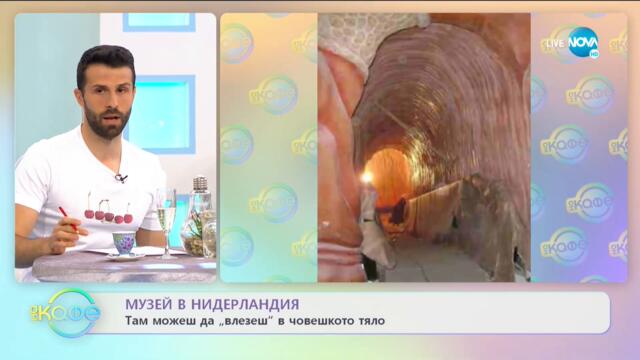 Световен ден на музеите - „На кафе” (18.05.2021)