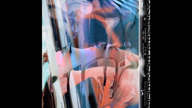 Schwefelgelb - Wie Viel Haut (Randomer Remix) [NPLX002]