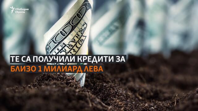 Фактите. Кого подкрепя Българската банка за развитие