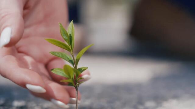 JANE - Hopes (official video)