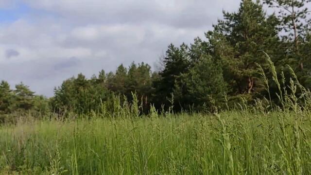 Полнолуние 26 мая 2021. Кровавая луна . Суперлуние. Полное лунное затмение.Запреты и предостережения