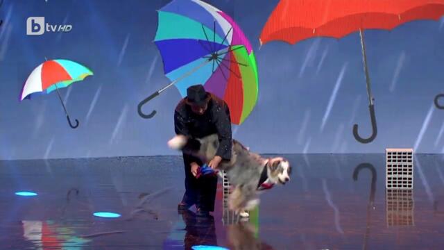 Веселка Илиева | Полуфинал | България търси талант 2021