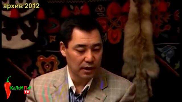 Садыр Жапаров: 20-30 чиновник камалышы керек! Мына чындык деп президент болду..