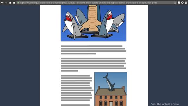 The Battle of SHARKS!