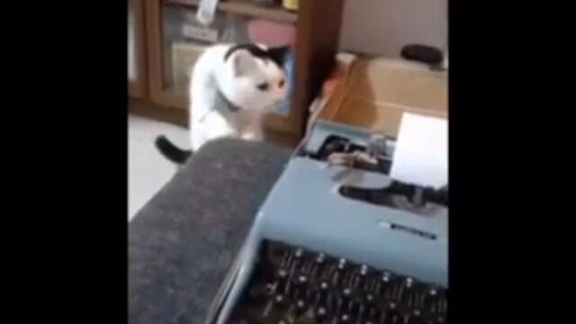 Благо Вица компилация с животни смях