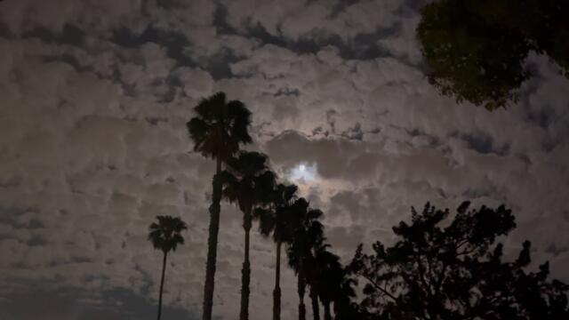 ПОЛНОЛУНИЕ. Как влияет на нас