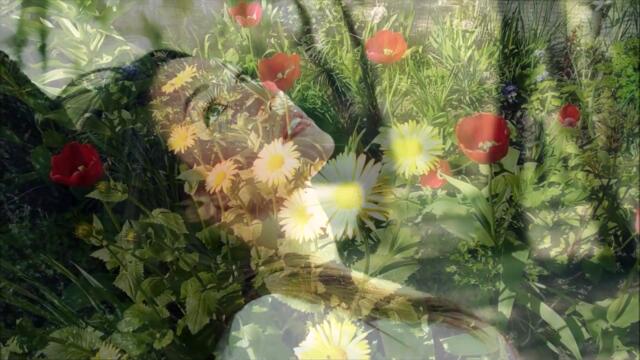 Semion Obridko - ЗАБУДЬ ПЕЧАЛЬ