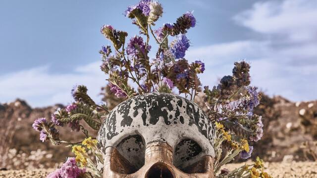 Automatic Fantastic (Remixed and Remastered)