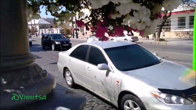 Владимир Тимофеев   -   ЗАЧЕМ УХОДИТЕ, УХОДИТЕ МОИ ГОДА