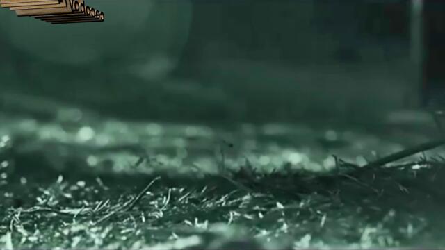 Δημήτρης Παναγιωτόπουλος - Μου λες να μείνουμε δυο φίλοι - казваш ми да останем двама приятели