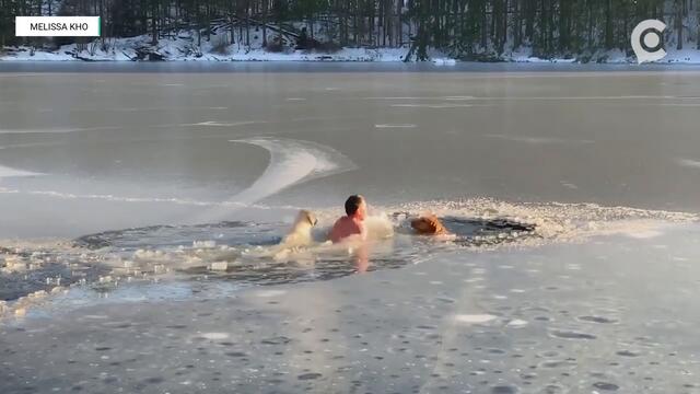 Мъж влезе в ледените води за да спаси две кучета (ВИДЕО)